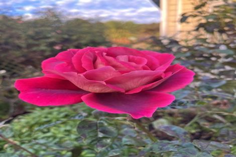 Photo of property in 5 Jessie Street, Maia, Dunedin, 9022