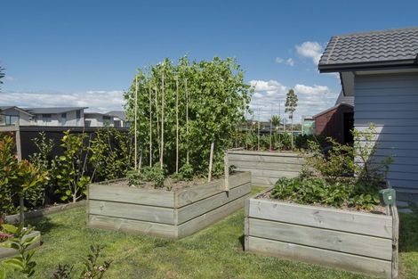 Photo of property in 58 Te Wharo Drive, Papamoa, 3118