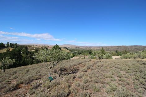 Photo of property in 85a Letts Gully Road, Letts Gully, Alexandra, 9393