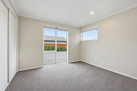 Photo of property in 117 Metehau Street, Marshland, Christchurch, 8083