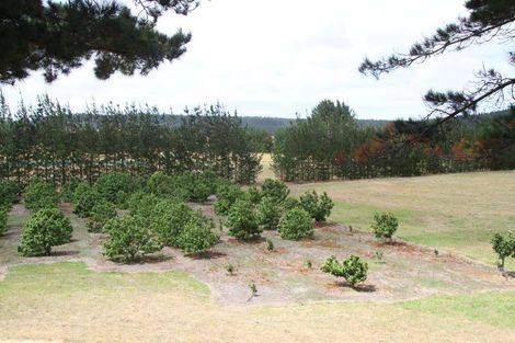 Photo of property in 41 Mcmanus Road, Houhora, Kaitaia, 0484