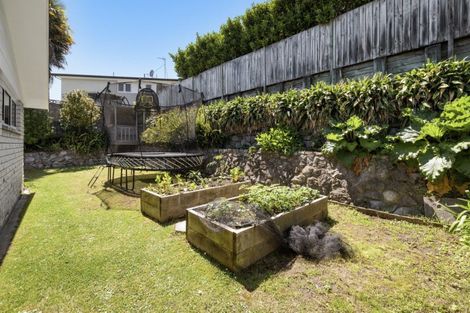 Photo of property in 16 Shelley Street, Otumoetai, Tauranga, 3110