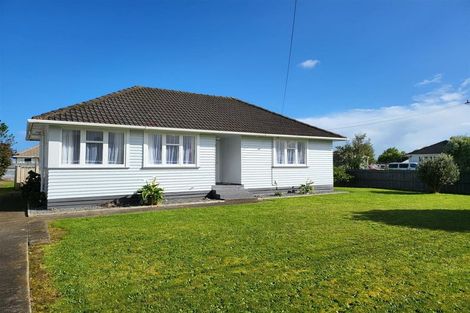 Photo of property in 17 Maire Street, Levin, 5510