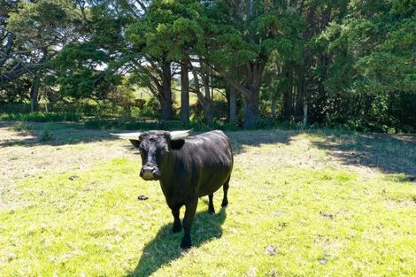 Photo of property in 287 Mclean Road, Waipu, 0582