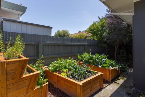 Photo of property in 61a Muller Road, Blenheim, 7201