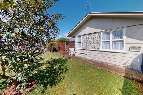 Photo of property in 101 Tiro Tiro Road, Levin, 5510