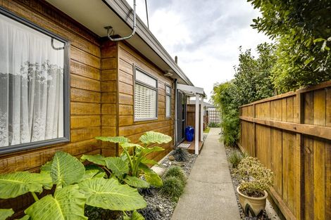 Photo of property in 165 Auckland Road, Greenmeadows, Napier, 4112