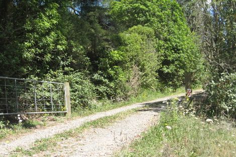 Photo of property in 365 Woodland Road, Tahawai, Katikati, 3170