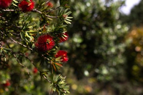 Photo of property in Mahinepua Road, Kaeo, 0478