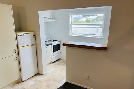 Photo of property in 19 Hania Street, Mount Victoria, Wellington, 6011