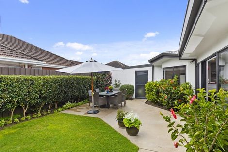 Photo of property in 75a Greerton Road, Gate Pa, Tauranga, 3112
