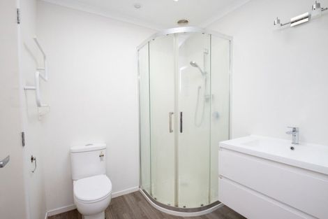 Photo of property in 15 Orchard East Road, Ngatea, 3503