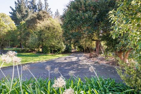 Photo of property in 151 Mulgrave Street, Ashhurst, 4810