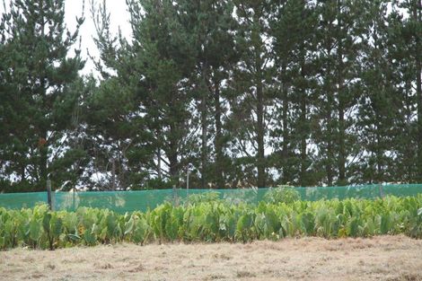 Photo of property in 41 Mcmanus Road, Houhora, Kaitaia, 0484