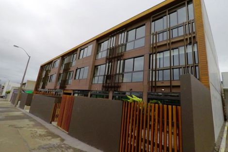 Photo of property in Vedado Apartments, 208/41 Hopper Street, Mount Cook, Wellington, 6011