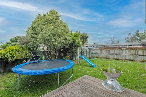 Photo of property in 24 Farnham Avenue, Highbury, Palmerston North, 4412