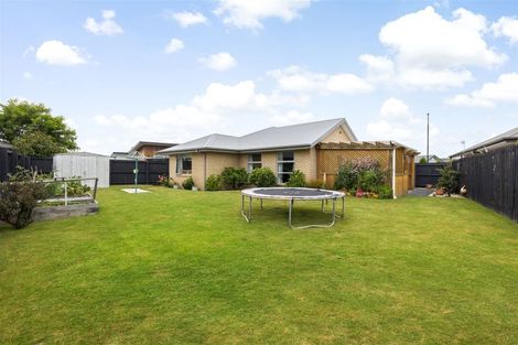 Photo of property in 86 Te Rito Street, Marshland, Christchurch, 8083