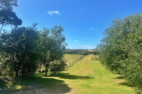 Photo of property in 83 Mcmanus Road, Houhora, Kaitaia, 0484