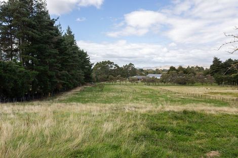 Photo of property in 133 Adelaide Road, Dannevirke, 4930