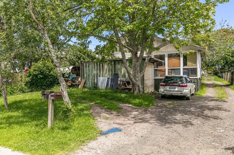 Photo of property in 55 Margan Avenue, New Lynn, Auckland, 0600