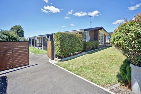 Photo of property in 58 Boucher Avenue, Te Puke, 3119