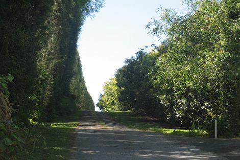 Photo of property in 125 Munro Road, Minden, Whakamarama, 3179