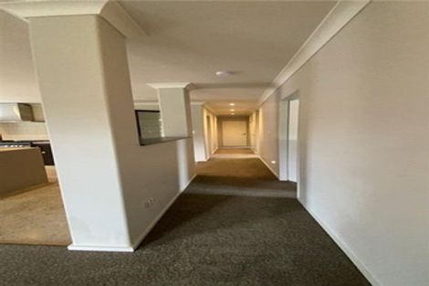 Photo of property in 84 Solomon Street, Brookfield, Tauranga, 3110