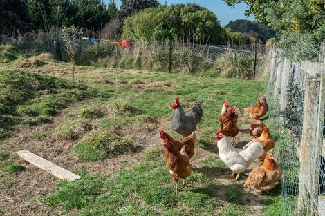 Photo of property in 432 Bull Creek Road, Glenledi, Milton, 9292