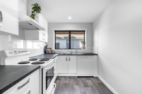 Photo of property in 233 Princes Street, Strathern, Invercargill, 9812