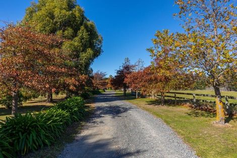 Photo of property in 984 Redwood Pass Road, Redwood Pass, Blenheim, 7274