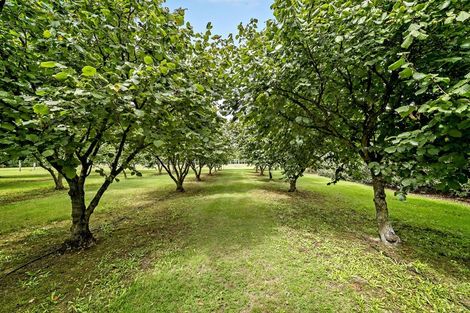 Photo of property in 1349 Tramway Road, Dunsandel, Leeston, 7682