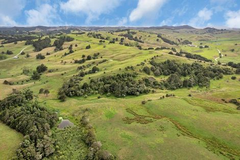 Photo of property in 1754 Ararua Road, Ararua, Matakohe, 0594