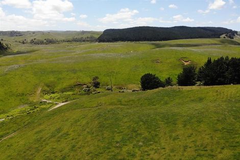 Photo of property in 429 Te Akau South Road, Te Akau, Ngaruawahia, 3793