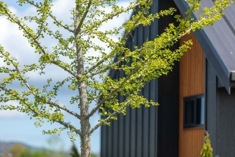 Photo of property in 7 Orchard Place, Matamata, 3472