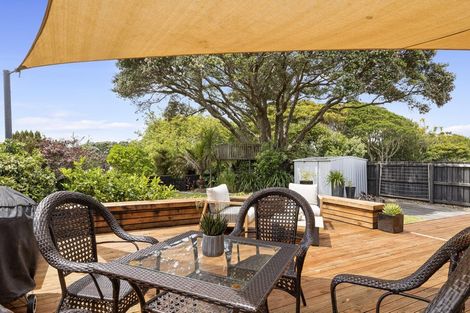 Photo of property in 17 Normanby Street, Fitzroy, New Plymouth, 4312