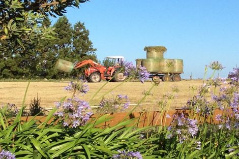 Photo of property in 125 Davis Road, Waiongana, Inglewood, 4389