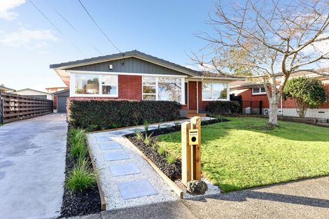 Photo of property in 25 Wake Street, Chartwell, Hamilton, 3210