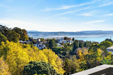 Photo of property in 8 Selwyn Road, Hospital Hill, Napier, 4110