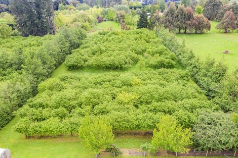 Photo of property in 87 Marshmans Road, Ashley, Rangiora, 7477