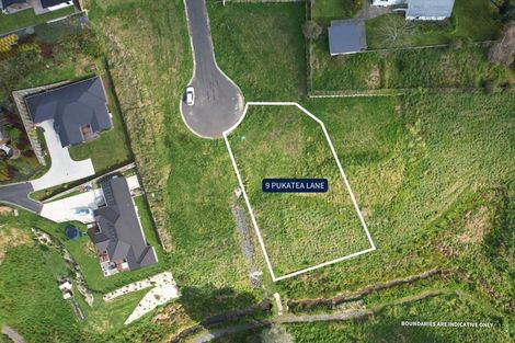 Photo of property in 9 Pukatea Lane, Grandview Heights, 3200