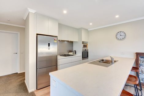 Photo of property in 53 Berryfield Drive, Richmond, 7020