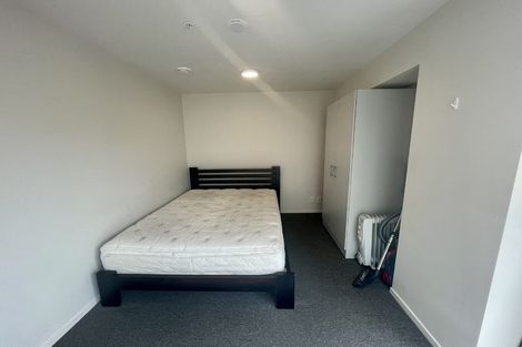 Photo of property in The Peak Apartments, 505/170 Taranaki Street, Te Aro, Wellington, 6011