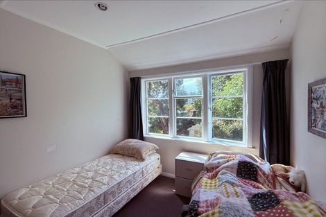 Photo of property in 499 South Road, Calton Hill, Dunedin, 9012