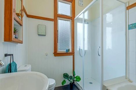 Photo of property in 64 Limbrick Street, Terrace End, Palmerston North, 4410