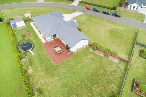 Photo of property in 60 Wapiti Avenue, Feilding, 4775