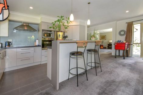 Photo of property in 17 Pollock Place, Rolleston, 7614