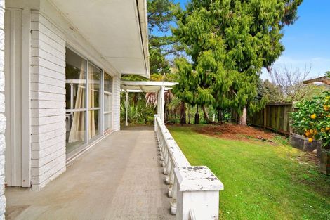 Photo of property in 37 Fitzroy Avenue, Fitzroy, Hamilton, 3206