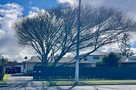 Photo of property in 37 Kerrs Road, Wiri, Auckland, 2104