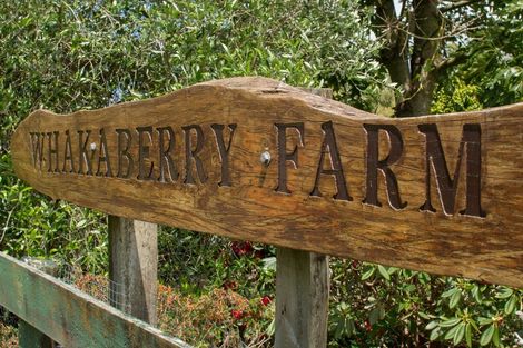 Photo of property in 297d Ross Road, Whakamarama, Tauranga, 3179