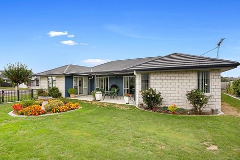 Photo of property in 16 Maple Place, Matamata, 3400